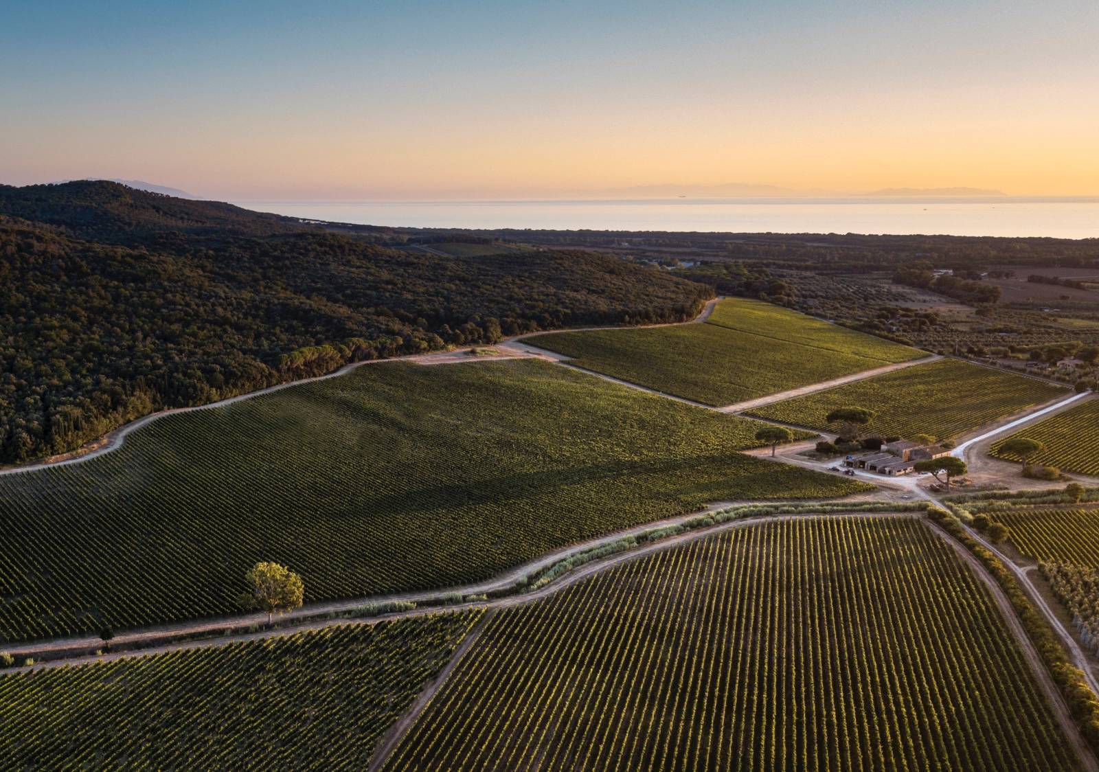 Longines World’s Best Racehorse